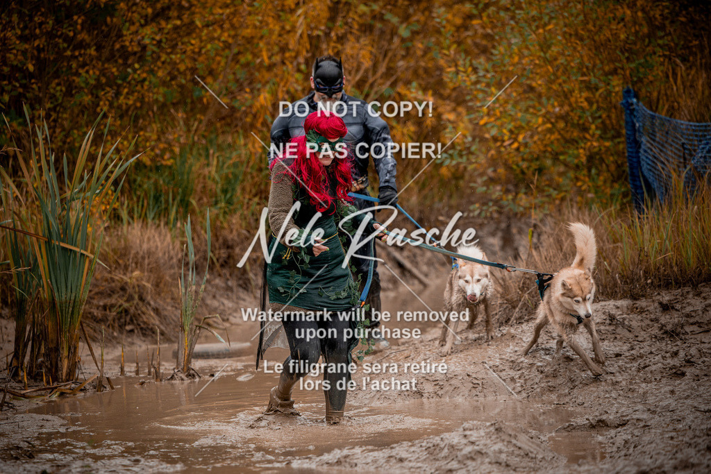 nelerasche_Creepy2025_Sa12-13_299 | nelerasche
