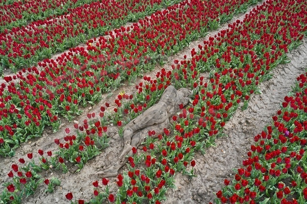 NatureArt-ULPENFELD_lb27 | Zwischen roten Rosen | #005 | Modell: Katey | Foto: Ulrich Stamm - Realisiert mit Pictrs.com