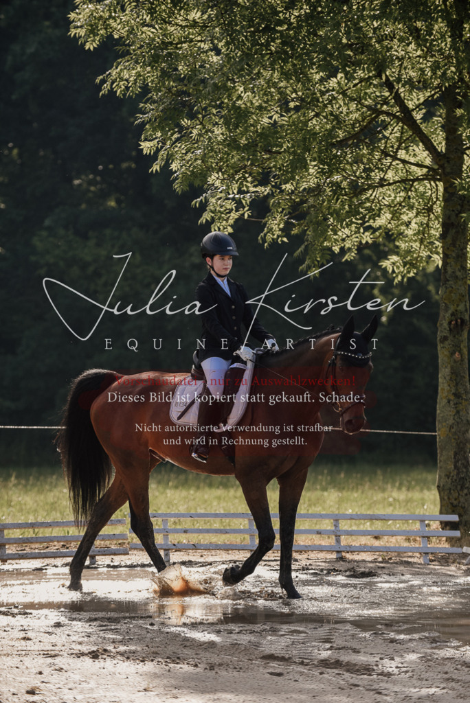 DSC_7935 | Pferde- und Turnierfotografie in Westsachsen. Pferdeportraits, Auftragszeichnungen und intuitive Kunst.
