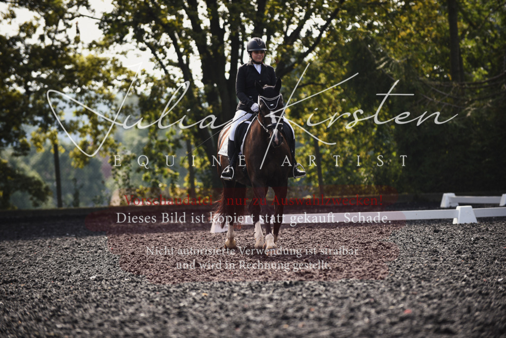 DSC_3617 | Pferde- und Turnierfotografie in Westsachsen. Pferdeportraits, Auftragszeichnungen und intuitive Kunst.