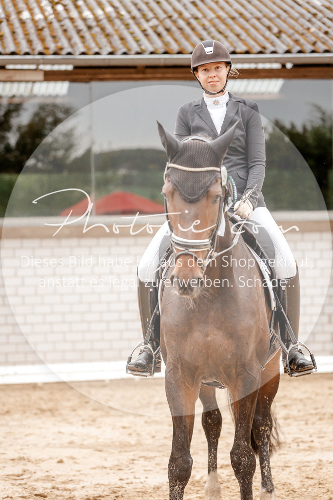 3I6A6030 | Stimmungsvolle Portraits und Reitsportfotografie im Ruhrgebiet und im Münsterland.

Pferdefotografie, Hundefotografie, Tierfotografie, Reportagen, Portraits von Tier und Mensch, Turnierfotografie in Bochum, Recklinghausen, Marl, Haltern am See, Dülmen.. - Realisiert mit Pictrs.com