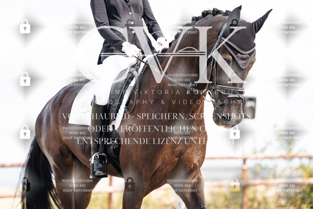 CK901749 | Turnierfotografie Pferdefotografie Trier Rheinland-Pfalz Pferdesport Reitsport Tierfotografie Sportfotografie Pferdevideo Pferdevideografie Equestrianvideography equestrianphotography  - Realisiert mit Pictrs.com