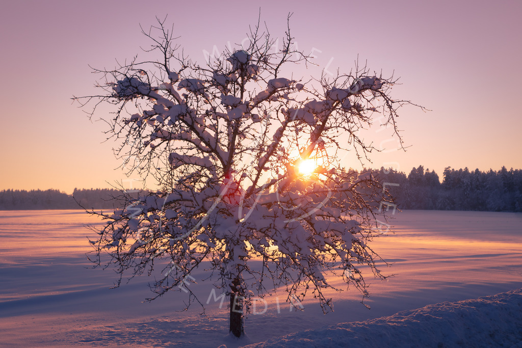 2021-01-15 Schwarzwald Kniebis Nagoldtalsperre-37 | Winter Wonderland - Realisiert mit Pictrs.com