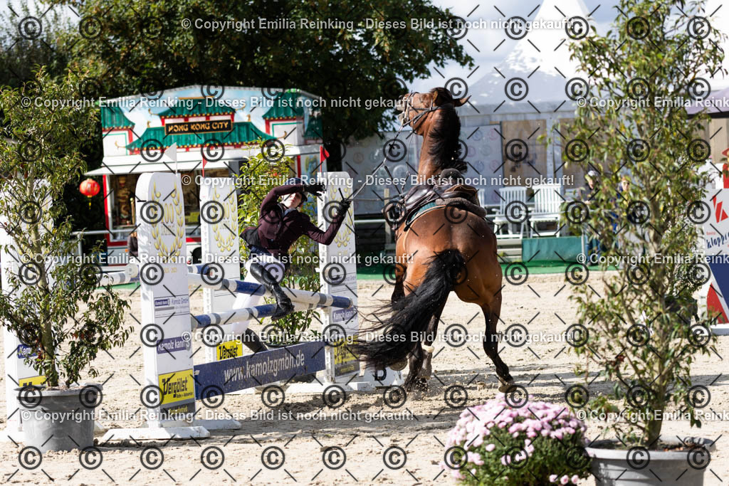 CL5A1501 | Emilia Reinking Fotografie - Realisiert mit Pictrs.com