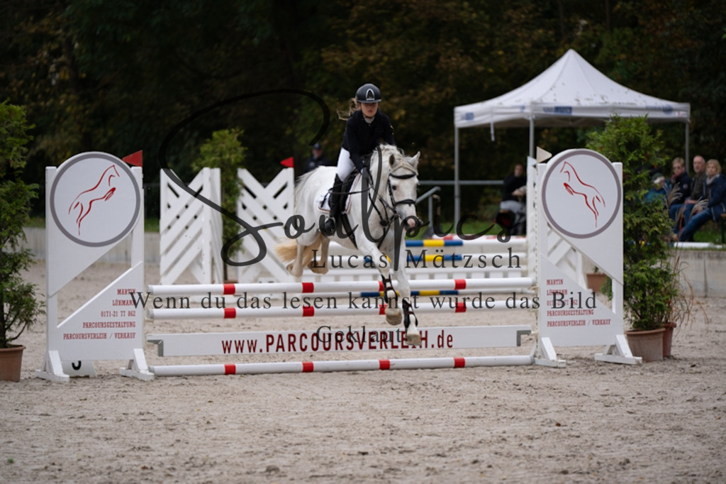 A7V09736 | Pferdefotograf