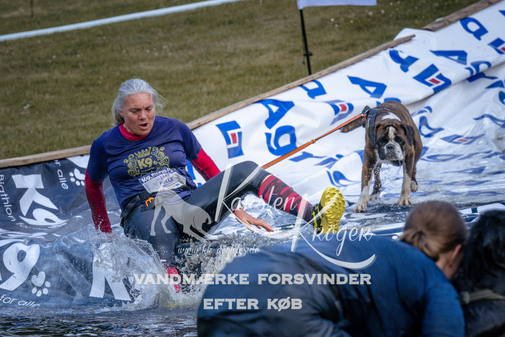 _ZZ920830922 | kk-dogfotos