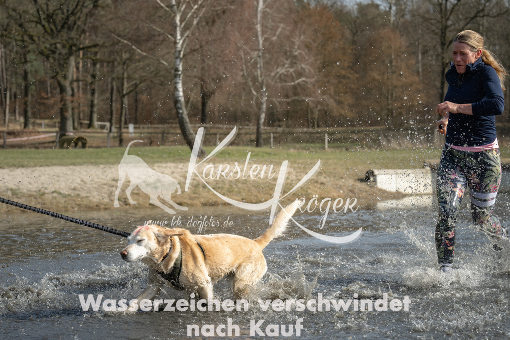 1258_ZZ93485 | kk-dogfotos