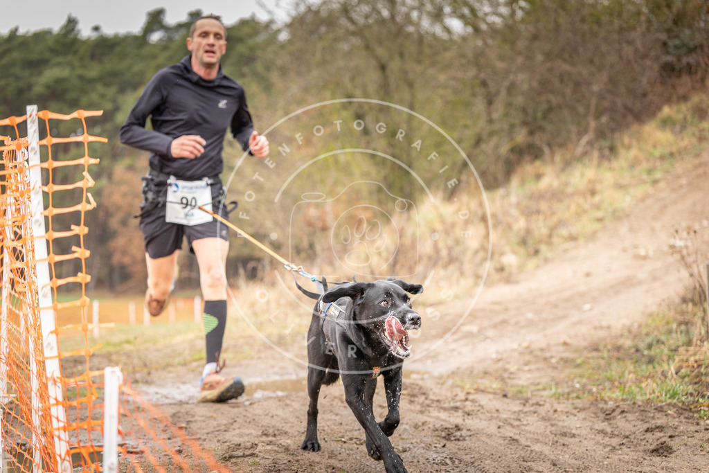 DV3A0411 | Hundefotografie, Tierfotograf, Pfotenfotografie, Fotoshooting Hund, Hunde Portrait, Hundesport, Hundeportraits, Heideshooting, Hunde, Sportfotograf, Hundefotograf, Turnierhundsport, THS,  - Realisiert mit Pictrs.com