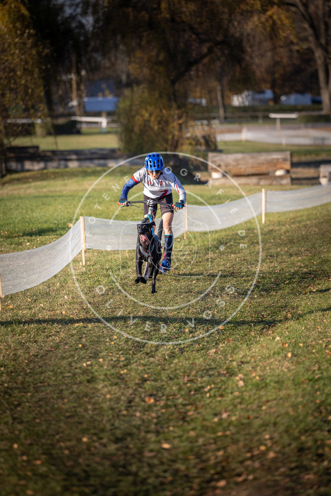 CaniXpix_DV3A1350 | Hundefotografie, Tierfotograf, Pfotenfotografie, Fotoshooting Hund, Hunde Portrait, Hundesport, Hundeportraits, Heideshooting, Hunde, Sportfotograf, Hundefotograf, Turnierhundsport, THS,  - Realisiert mit Pictrs.com