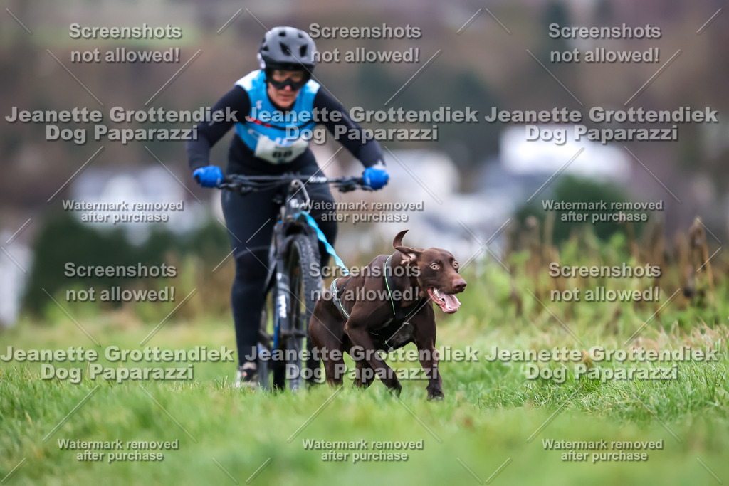 Dog Paparazzi - Herkules Race  2025-7 | Dog Paparazzi Jeanette Grottendiek Fotografie & Videografie