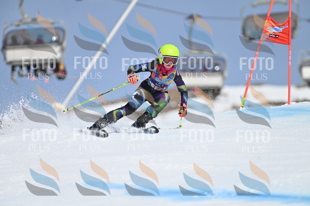 BGV_9840 | holidayphoto