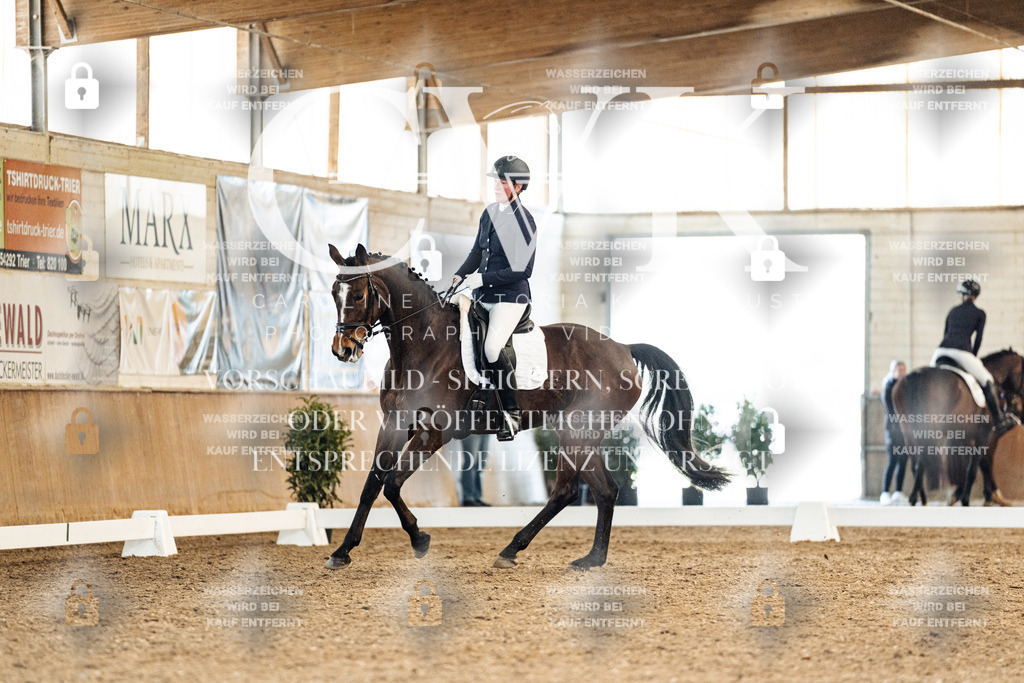 CK909166 | Turnierfotografie Pferdefotografie Trier Rheinland-Pfalz Pferdesport Reitsport Tierfotografie Sportfotografie Pferdevideo Pferdevideografie Equestrianvideography equestrianphotography  - Realisiert mit Pictrs.com