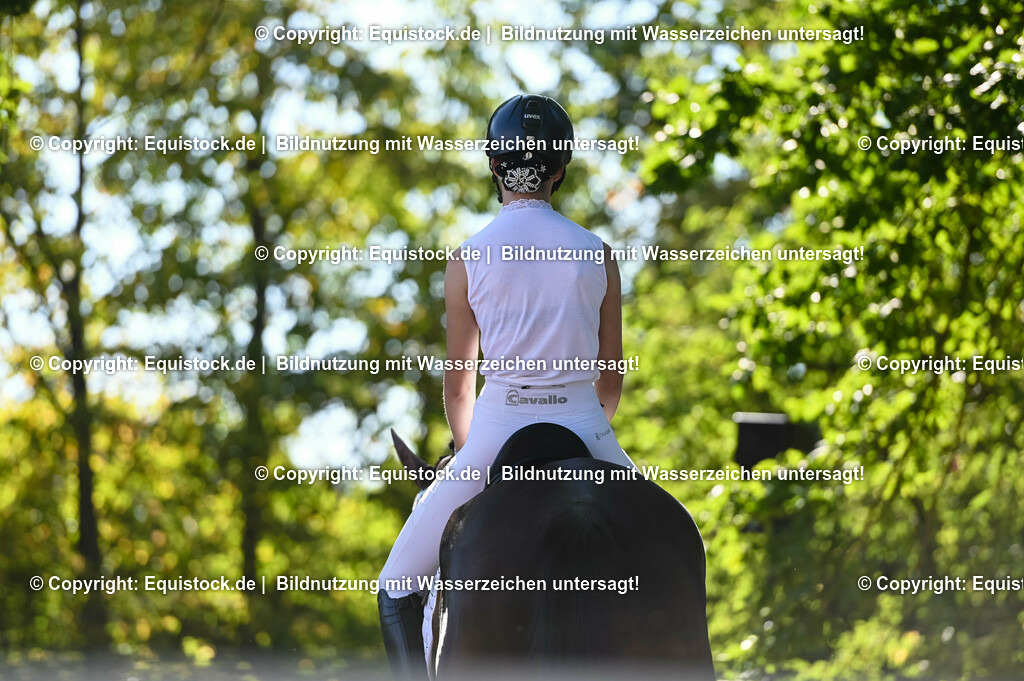 20230715_06_Dressurpferdeprfg. Kl.A_0230 | equistock