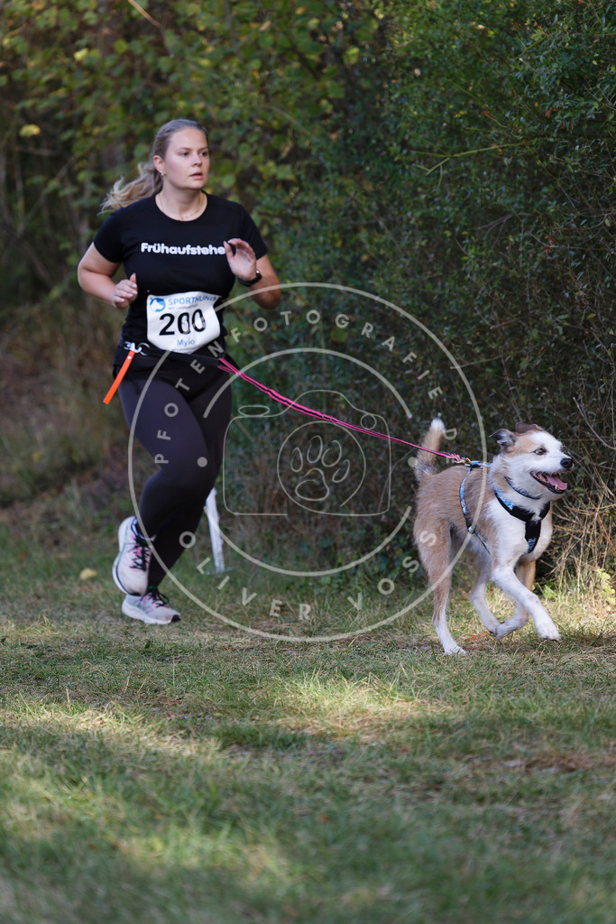 0L8A5598 | Hundefotografie, Tierfotograf, Pfotenfotografie, Fotoshooting Hund, Hunde Portrait, Hundesport, Hundeportraits, Heideshooting, Hunde, Sportfotograf, Hundefotograf, Turnierhundsport, THS,  - Realisiert mit Pictrs.com