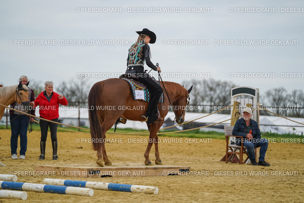 DSC02706 | Pferdegrafie