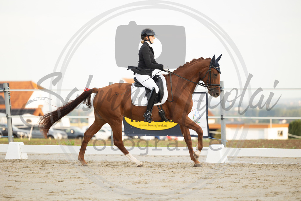 994A9926 | sabrinanicolaifotografie - Realisiert mit Pictrs.com