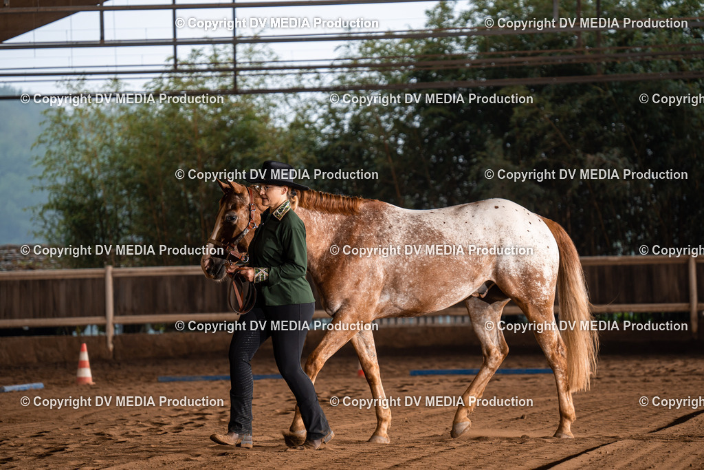 Erbach Tag 2-098 | dv-media-shop - Realisiert mit Pictrs.com