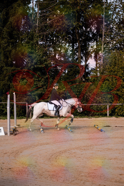 2026_10_03_Siefer-Hof_144155_Z81_14353512 | Professionelle Reitsport-, Turnier- und Eventfotografie von Robert Broda. Galerien mit ausgewählten und bearbeiteten Bildern direkt online ansehen und bestellen.