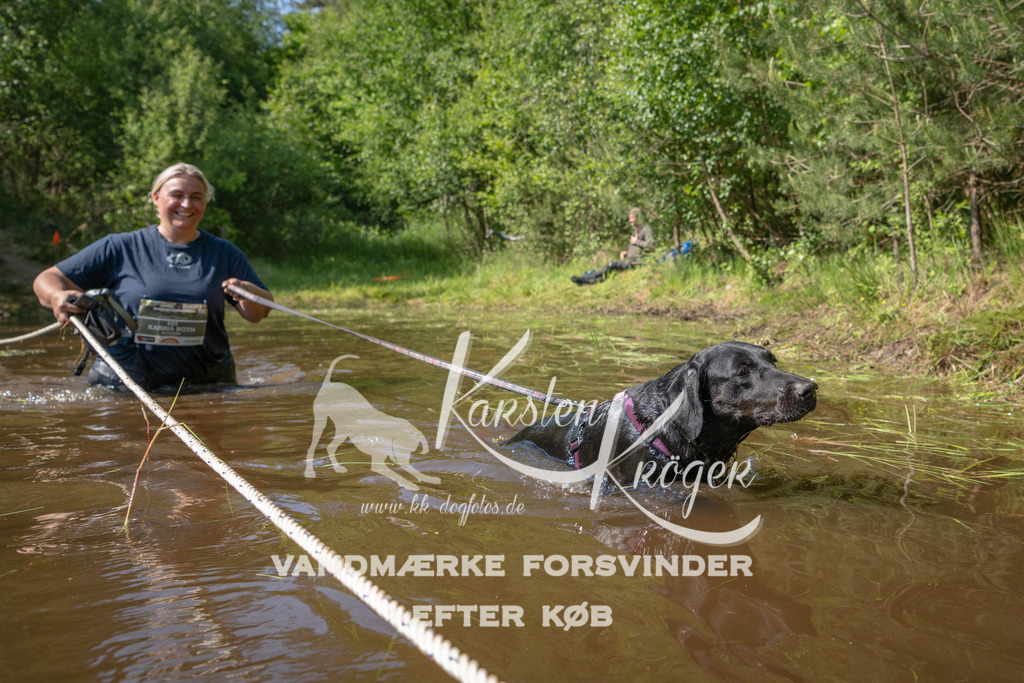 1623DKK990046 | kk-dogfotos
