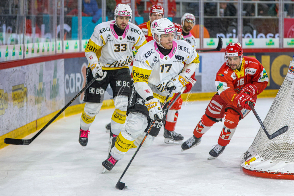 EHCB vs HCA 20260127_wb-9710 | Sportbilder, Sportfotograf, Hochzeits- und Eventfotografin, Flugshows, Portraits und Tiershooting, Aviation, Downhill, Nationalleague, Swissleague, International