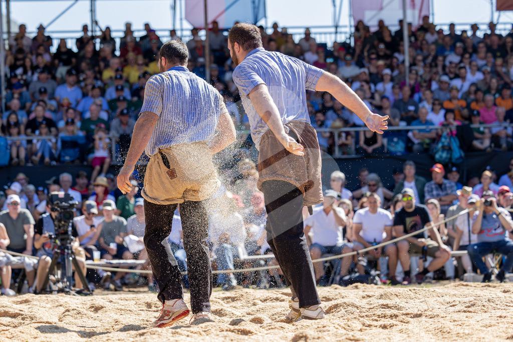 TESSINER2025_04_Gang_0771 | Die Schwinger des Schwyzer Kantonalen Schwingerverbandes: Fotos, die Dynamik und Leidenschaft festhalten, sowie emotionale Momente aus dem traditionellen Schwingsport zeigen. - Realisiert mit Pictrs.com