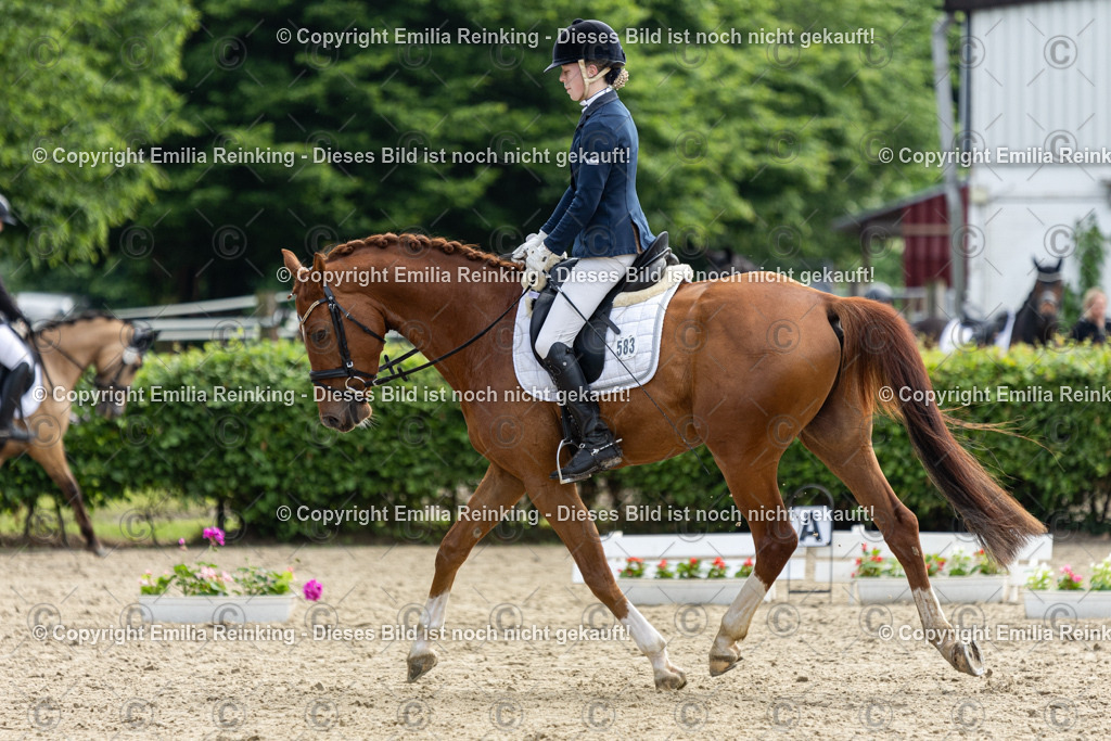 CL5A5124 | Emilia Reinking Fotografie - Realisiert mit Pictrs.com