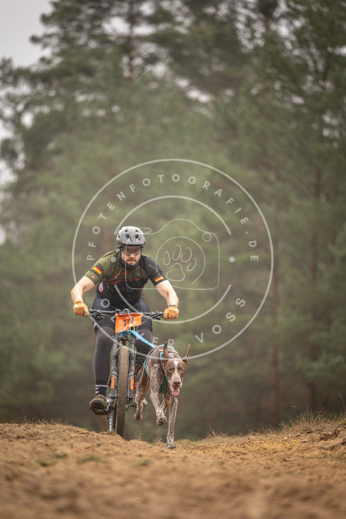 Pfotenfotografie_DV3A3331 | Hundefotografie, Tierfotograf, Pfotenfotografie, Fotoshooting Hund, Hunde Portrait, Hundesport, Hundeportraits, Heideshooting, Hunde, Sportfotograf, Hundefotograf, Turnierhundsport, THS,  - Realisiert mit Pictrs.com