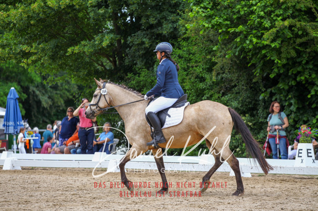 DKP46272 | Turnierfotos kaufen im Webshop von Daniel Kuhl Photography – entdecke professionelle Reitsportfotos aus Turnieren & Events. Hochwertige Turnierbilder online bestellen & sichern. Jetzt Fotos von Reitsportturnieren kaufen!