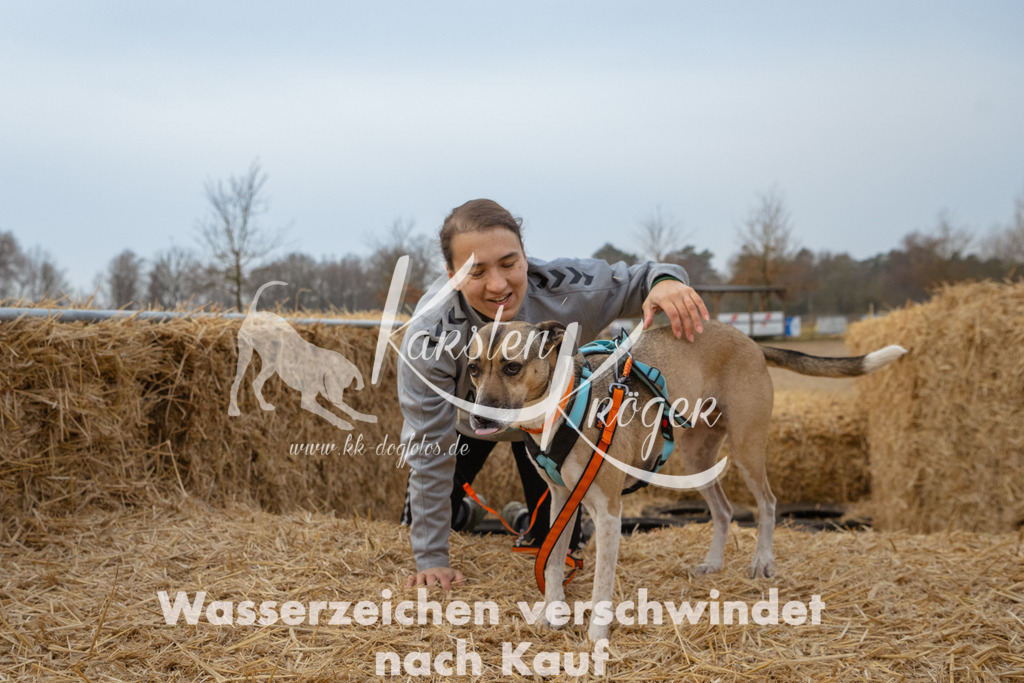 0836_ZZ93646 | kk-dogfotos