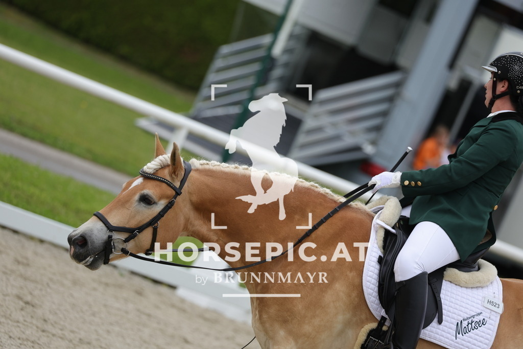 0P6A4800 | Willkommen bei Brunnmayr - Design & Fotografie – Ihrem Spezialisten für Reitturniere und Pferdeveranstaltungen in Oberösterreich, Salzburg und Bayern! Seit über 17 Jahren sind wir leidenschaftlich dabei.