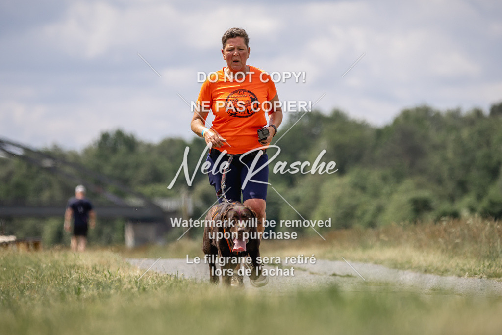 nelerasche_BuHu2026_SaCC1100-1200_183 | nelerasche