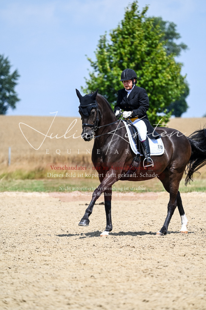 DSC_2705 | Pferde- und Turnierfotografie in Westsachsen. Pferdeportraits, Auftragszeichnungen und intuitive Kunst.