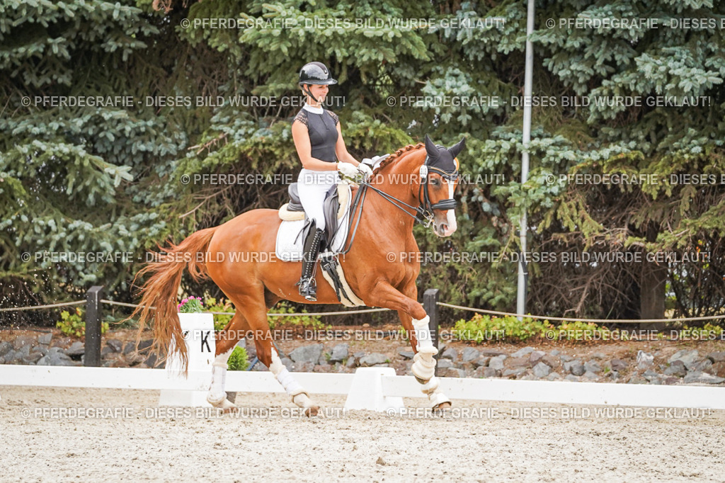 DSC08103 | Pferdegrafie