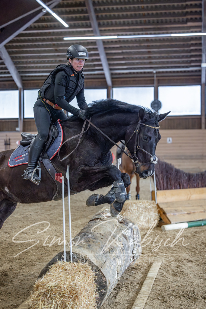 20260221-_3LI8618 | Tierfotografie Pferde, Hunde, Katzen, Haustiere.
Turnierfotografie Reitturniere, Reiten, Springreiten, Dressur in Hanau, dem Main-Kinzig-Kreis und dem Rhein-Main- Gebiet um Frankfurt