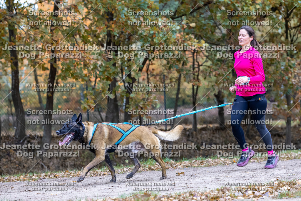 Dog Paparazzi - SD CaniX Championship 2025-496 | Dog Paparazzi Jeanette Grottendiek Fotografie & Videografie - Realisiert mit Pictrs.com