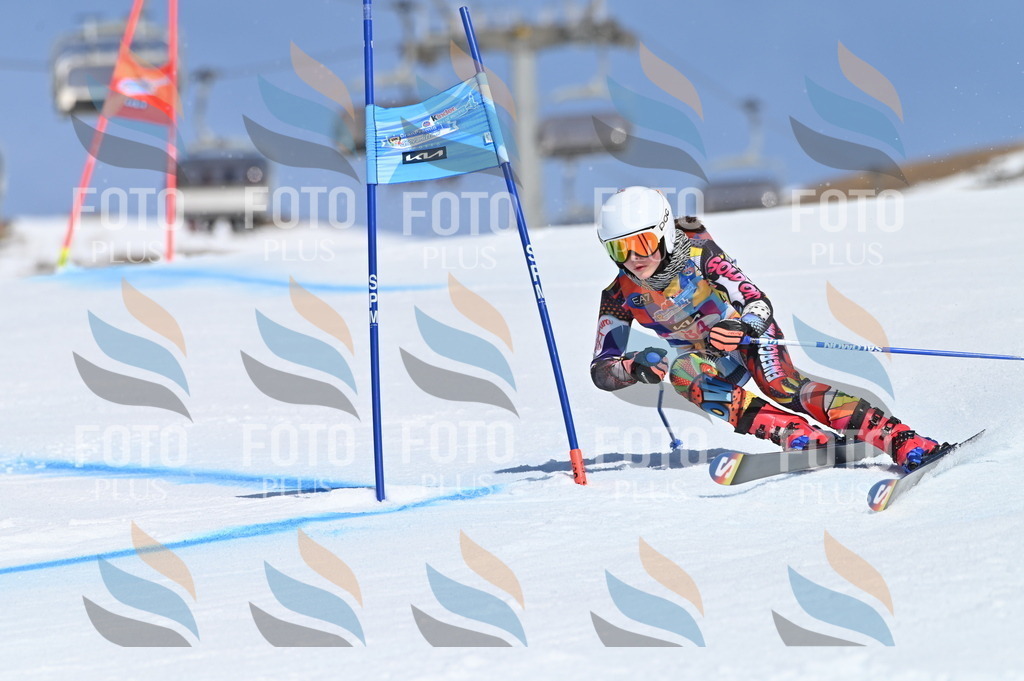 BGV_9142 | holidayphoto