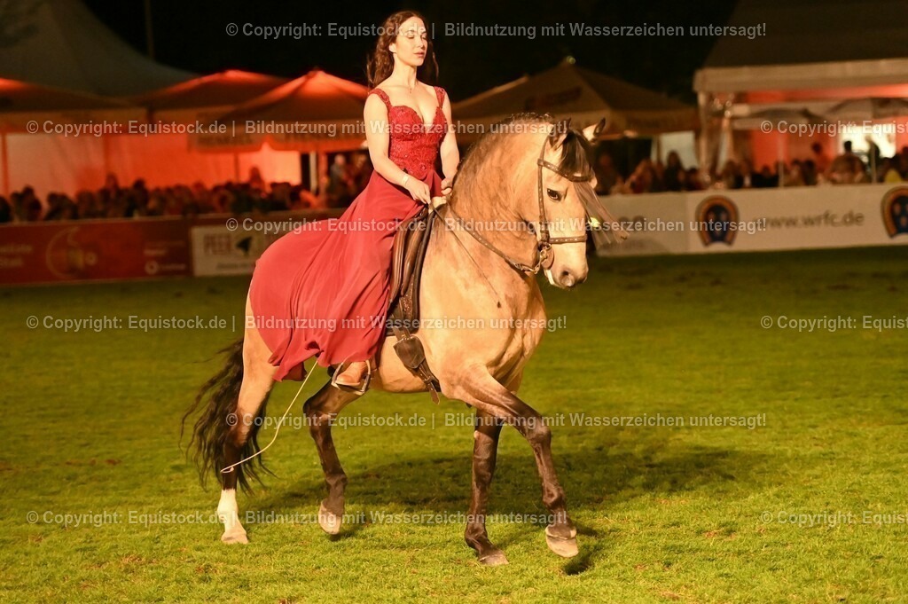 20230526_Pferdenacht_1373 | equistock