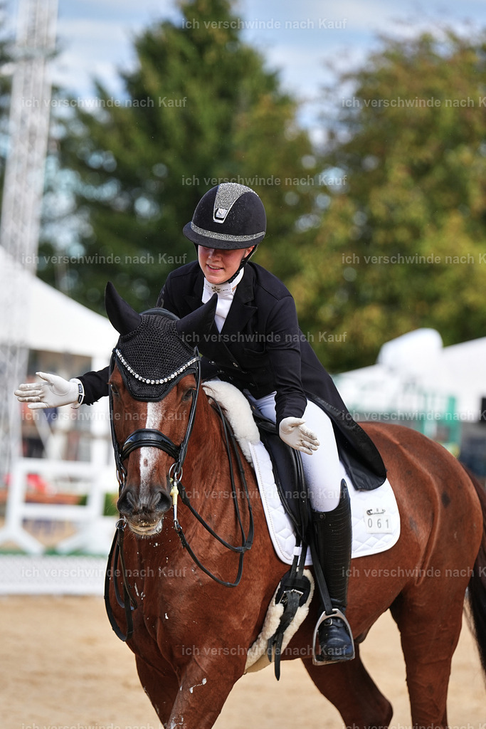 10-061-ST.GEORG SPECIAL -Marixx-3335 | working equitationturnier fotograf videograf stoibphotography marixx film working equitation deutschland reitsport turnierfotografie eventfotografie equestrian events