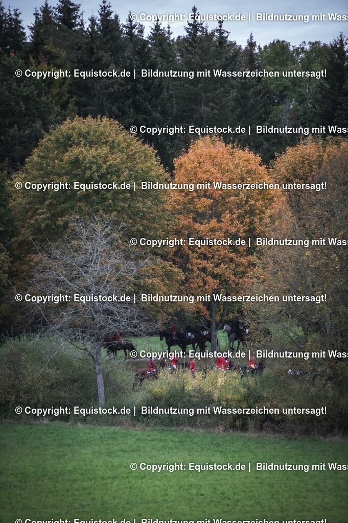 20241013_Jagd-Marbach_0263 | Foto: Thomas Hartig