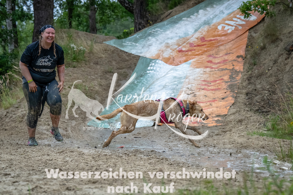 1203_ZZ90521-Bearbeitet | kk-dogfotos