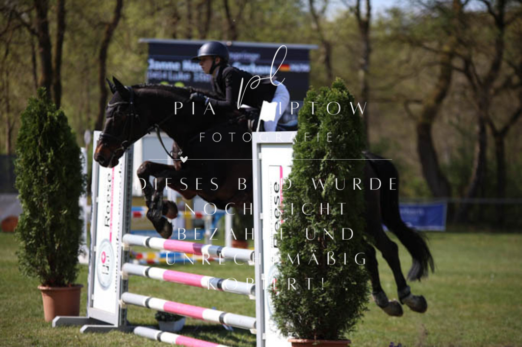 IMGT5591 | pl-fotografie