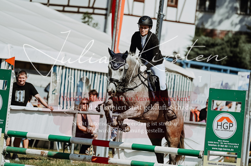 DSC_9485 | Pferde- und Turnierfotografie in Westsachsen. Pferdeportraits, Auftragszeichnungen und intuitive Kunst.