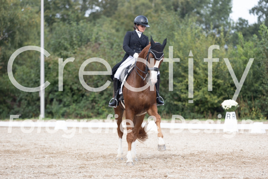 IMG_4782 | Creatify Fotografie