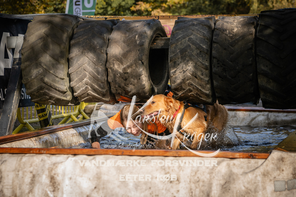 1157_ZZ93857 | kk-dogfotos