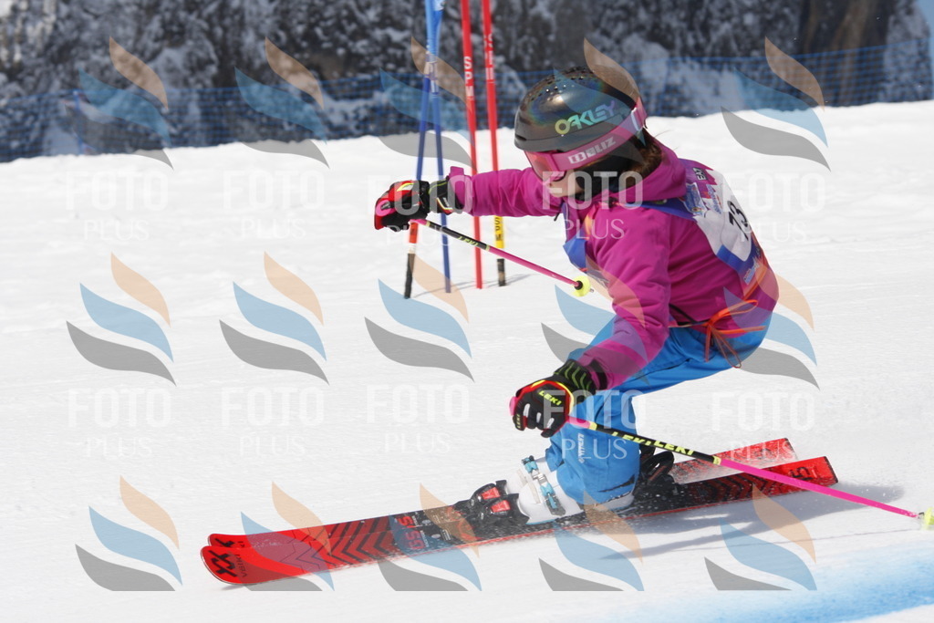 _W1G1084 | holidayphoto