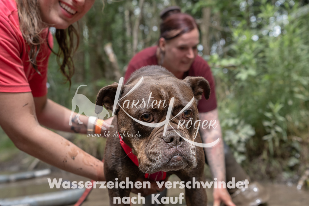 1334_ZZ94740 | kk-dogfotos