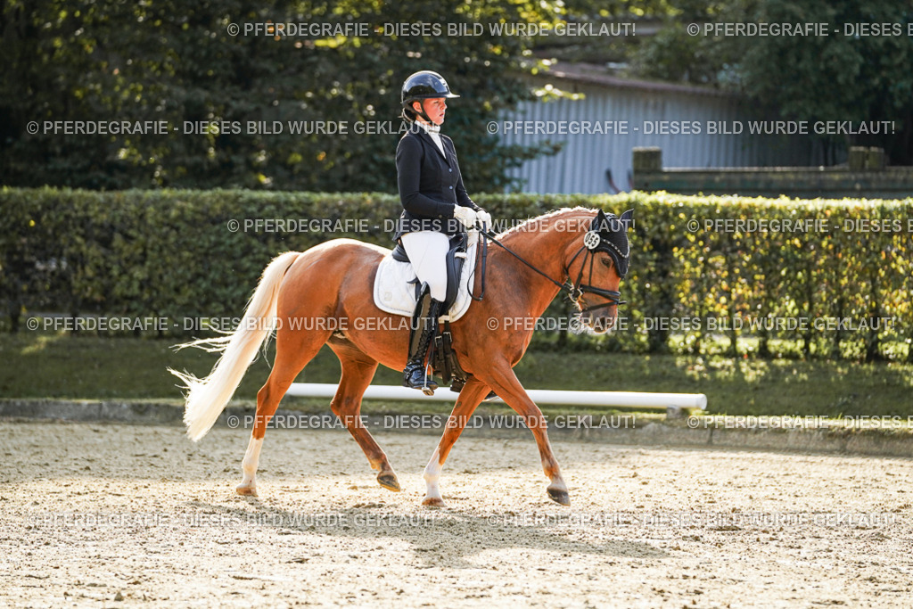 DSC05369 | Pferdegrafie