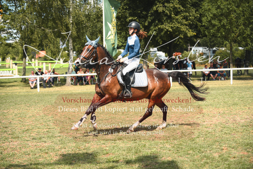 DSC_6773 | Pferde- und Turnierfotografie in Westsachsen. Pferdeportraits, Auftragszeichnungen und intuitive Kunst.
