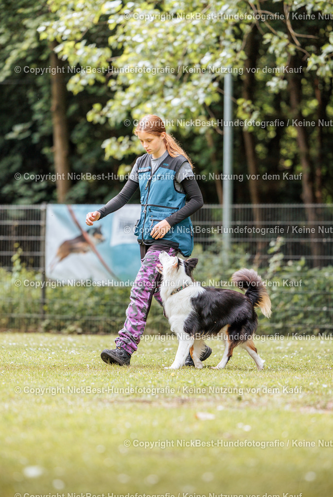 RO-Blumenthal-2026-Nickbest-Hundefotografie-2202 | Dein Hund! Dein Moment! Deine Erinnerungen! Hundefotografie in Bremen Blumenthal. Ich fange die besonderen Momente deines Vierbeiners ein – ob Indoor mit Blitzanlage oder in der freien Natur. Sicher dir dein Moment und dein Termin für eure Erinnerungen.