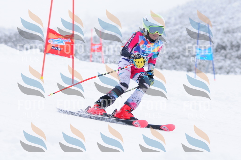 C2655 | holidayphoto